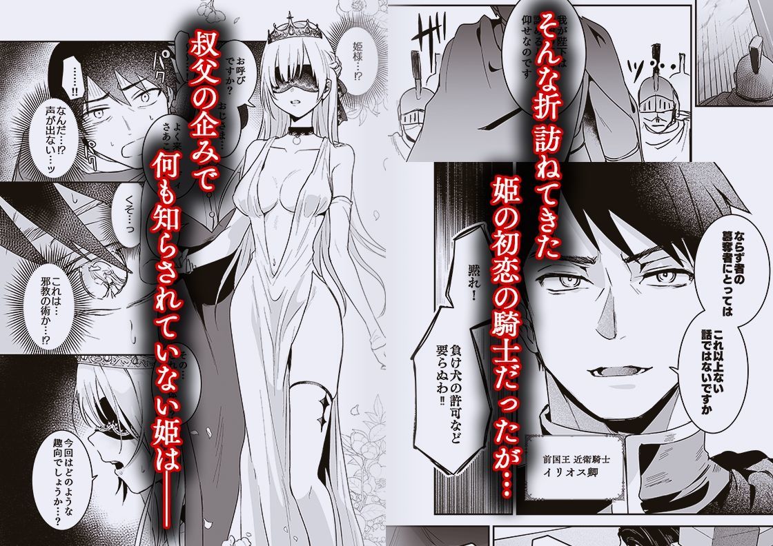 サンプル画像3:王女陥落2(吉田Killy) [d_533195]