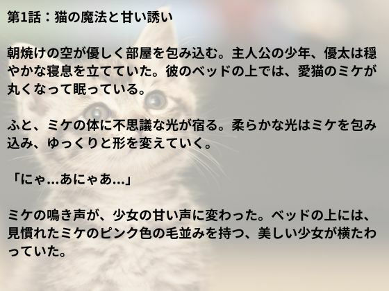 サンプル画像1:猫と少年の秘密〜にゃんにゃん恋物語〜(nawomi) [d_537718]