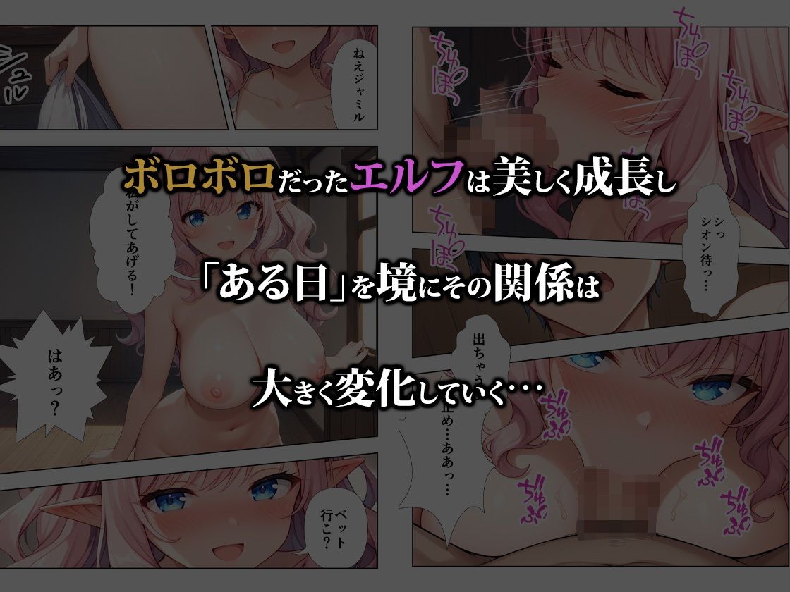 ボロボロのエルフを拾ったお話の画像10