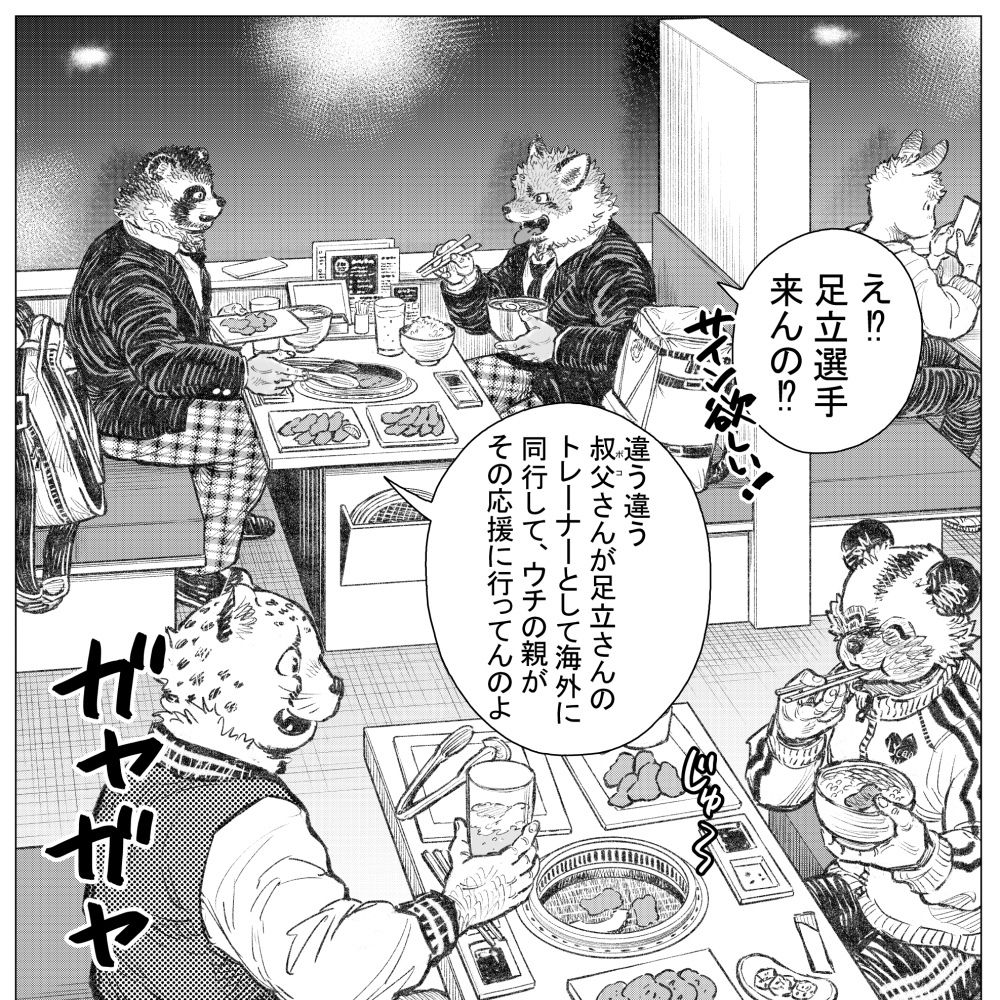 狸能狐制