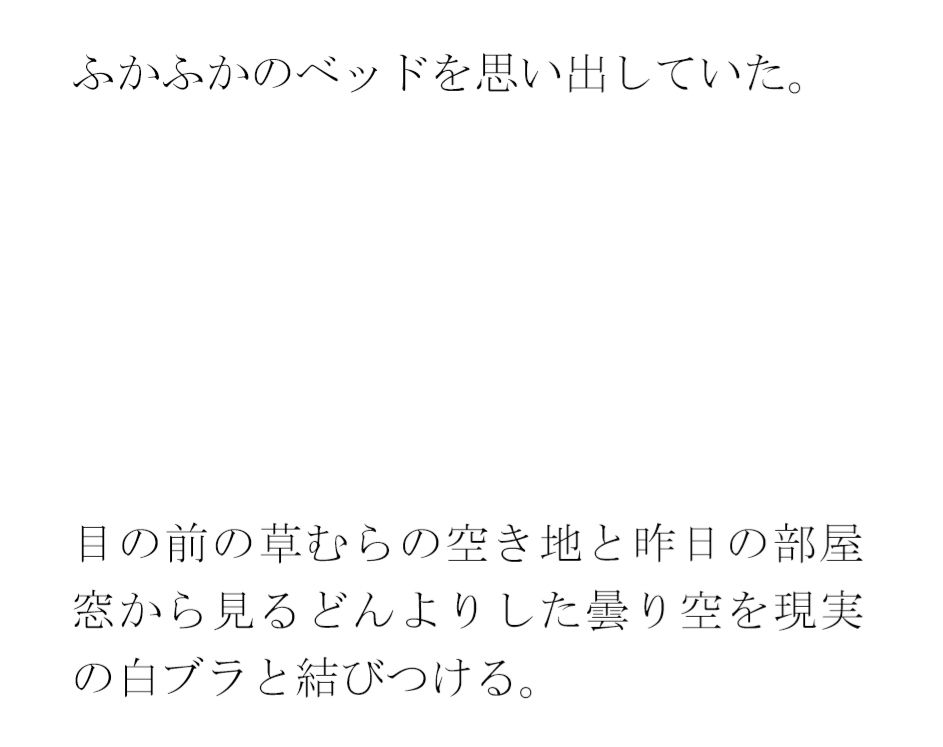 サンプル画像4:ホテル屋上と知人のおすすめのバー  その横の空き地とベンチ(逢瀬のひび) [d_542165]