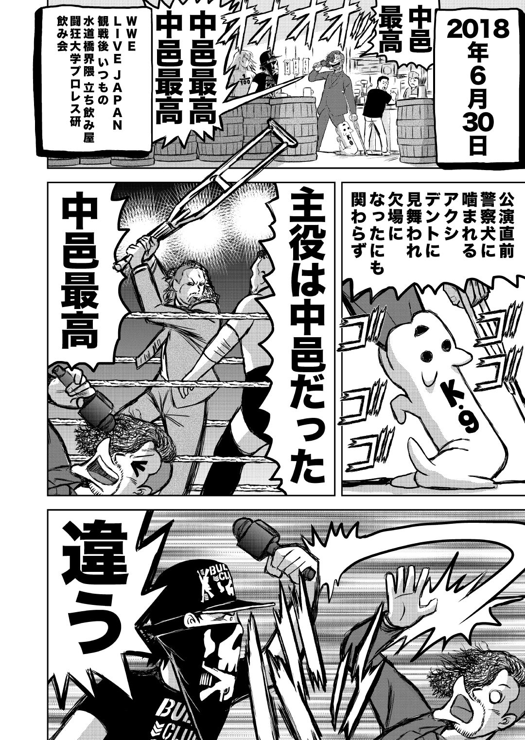 サンプル画像3:最狂超プロレスファン烈伝5.5(徳光康之) [d_545633]