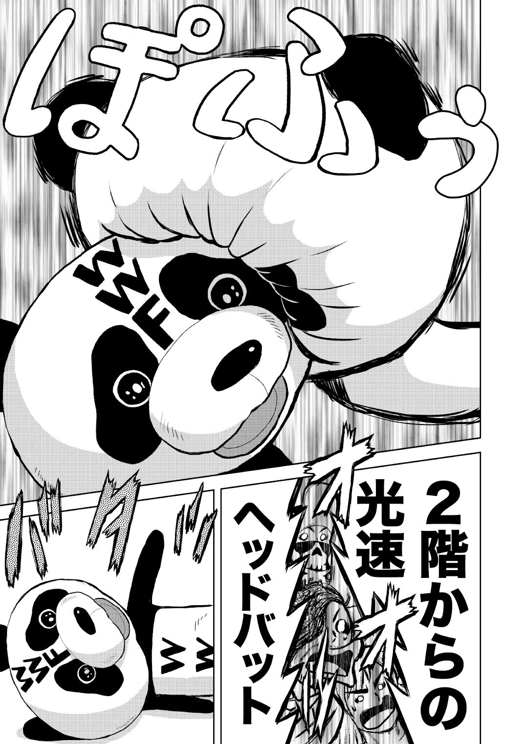 最狂超プロレスファン烈伝5.6