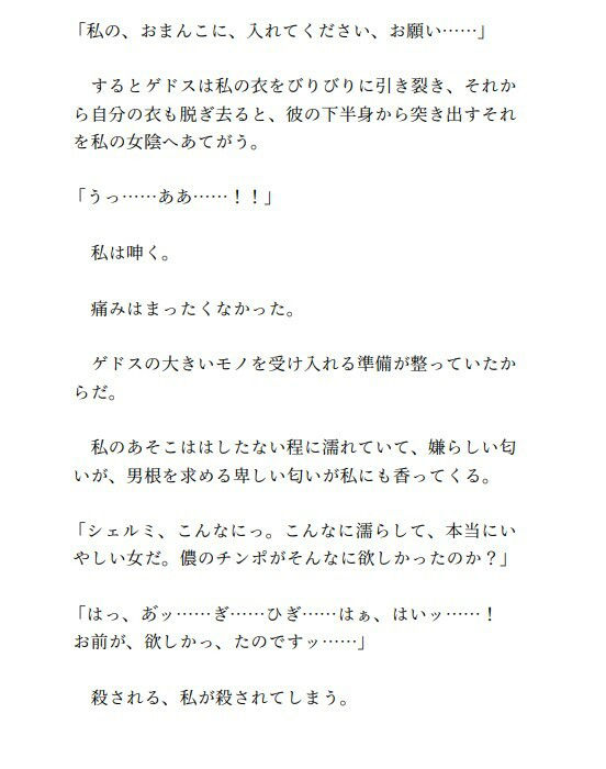 サンプル画像3:最強中年デブハゲ魔術師はTS勇者を飼い慣らす（3）(えちちどっとこむ) [d_548593]