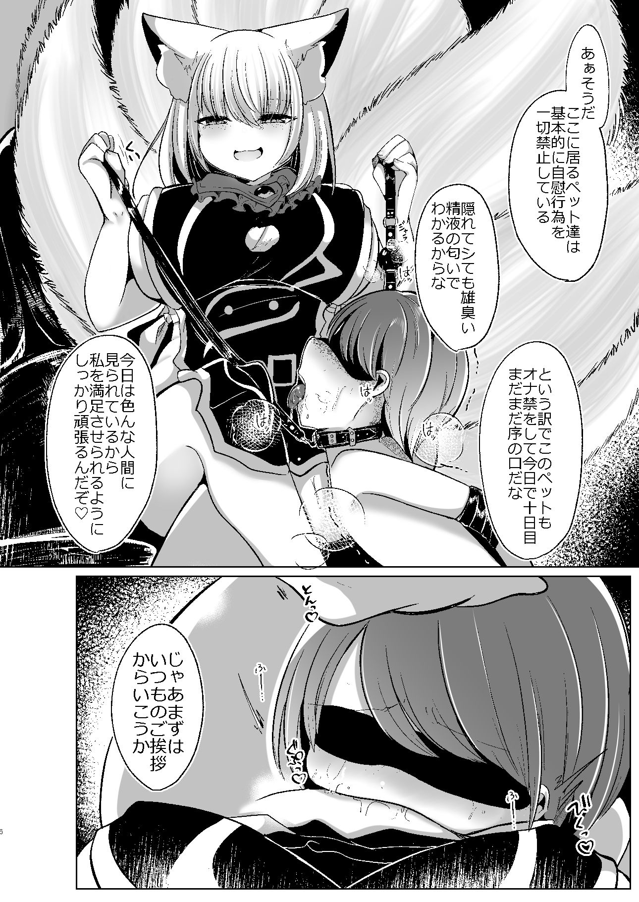 八雲藍が性処理ペットと戯れる本の画像2