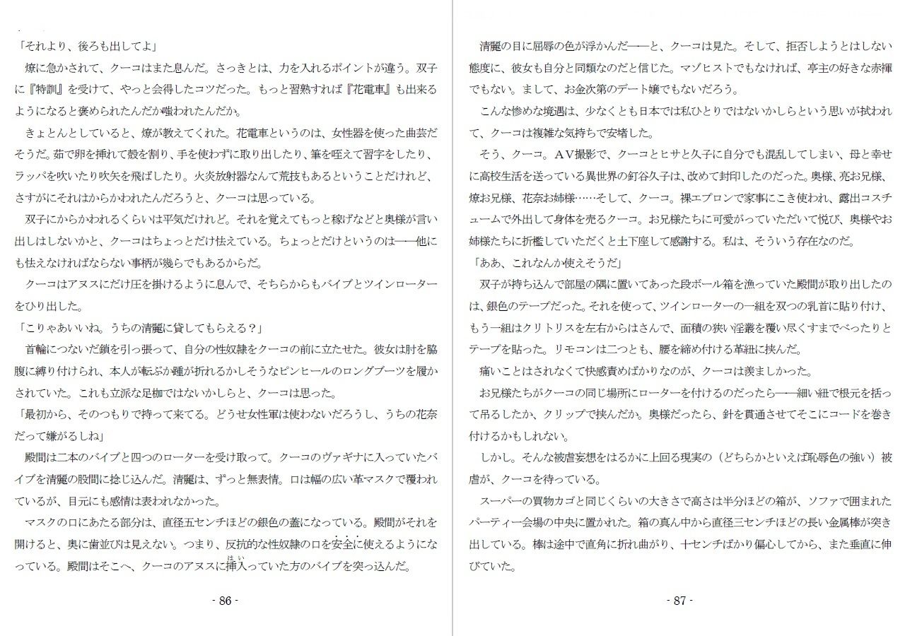 800万円のDVR:2酷虐使役編のサンプル画像 6