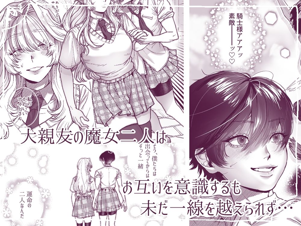 麗しの姫君♂は気高き騎士♀を溺愛したいの画像1