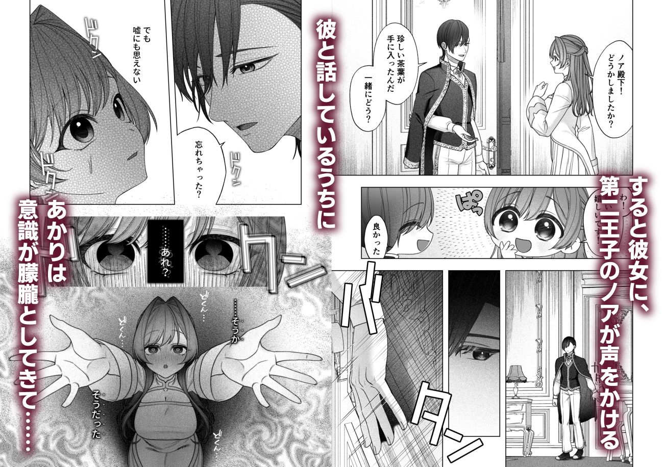 王子兄弟にいちゃらぶ?催○えっちで堕とされた聖女はの画像2