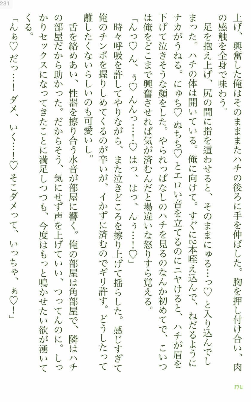 イチバチ！の画像5