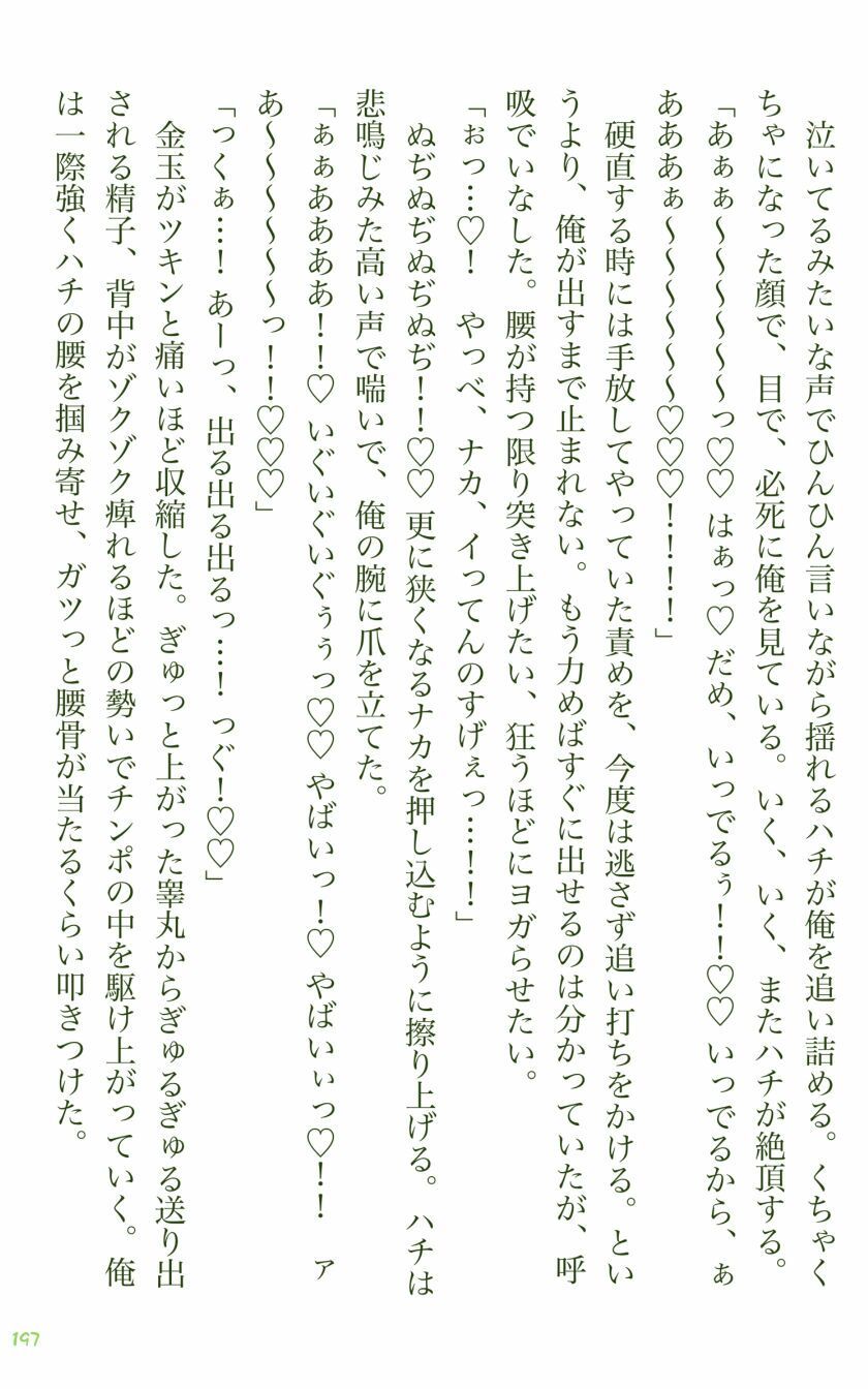 イチバチ！の画像7