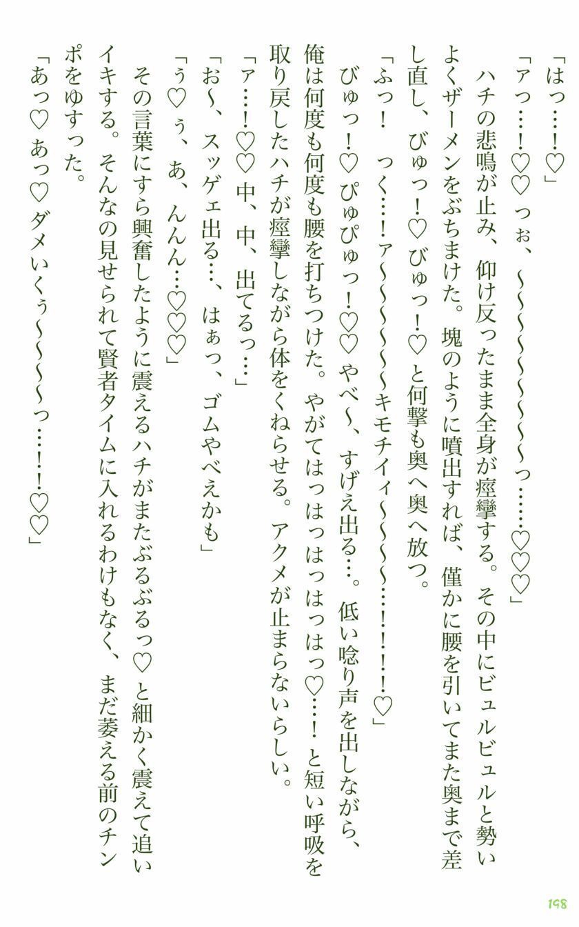 イチバチ！の画像8