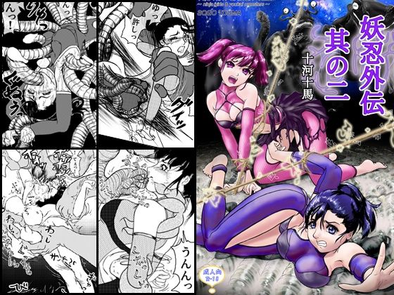《d_612382》妖忍外伝 其の二のパッケージ画像