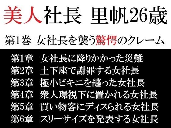 美人社長 里帆26歳 第1巻 女社長を襲う驚愕のクレームの商品画像