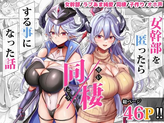《d_617447》女幹部を匿ったら同棲する事になった話のパッケージ画像