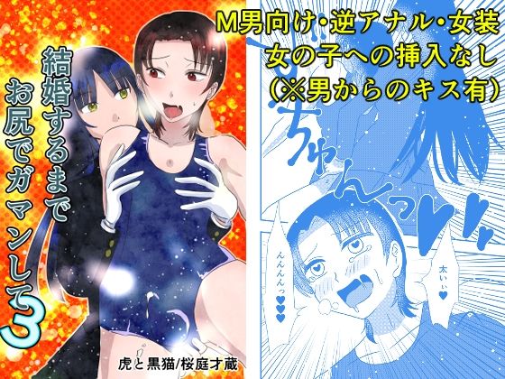 結婚するまでお尻でガマンして3 (dcomic)