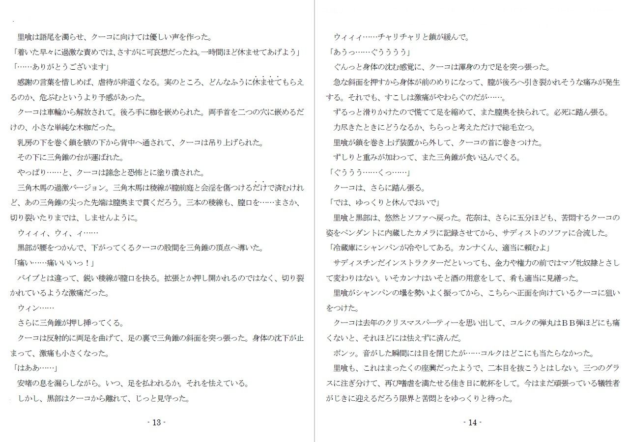800万円のDVR:4弄虐処分編のサンプル画像 6