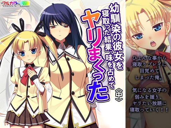 《d_646401》幼馴染の彼女を寝取った結果、味を占めてヤリまくった 中のパッケージ画像