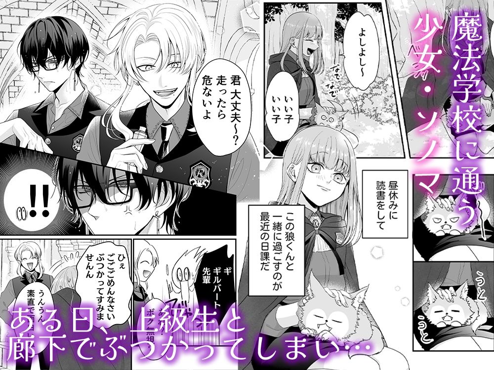 魔法学校の狼くんと媚薬えっちで強●番にされました (dcomic jp-002)
