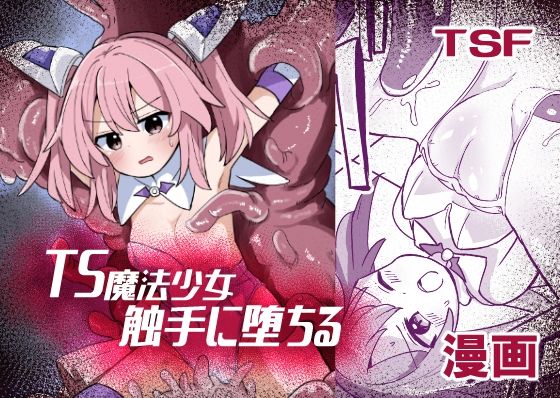 《d_663652》TS魔法少女、触手に堕ちるのパッケージ画像