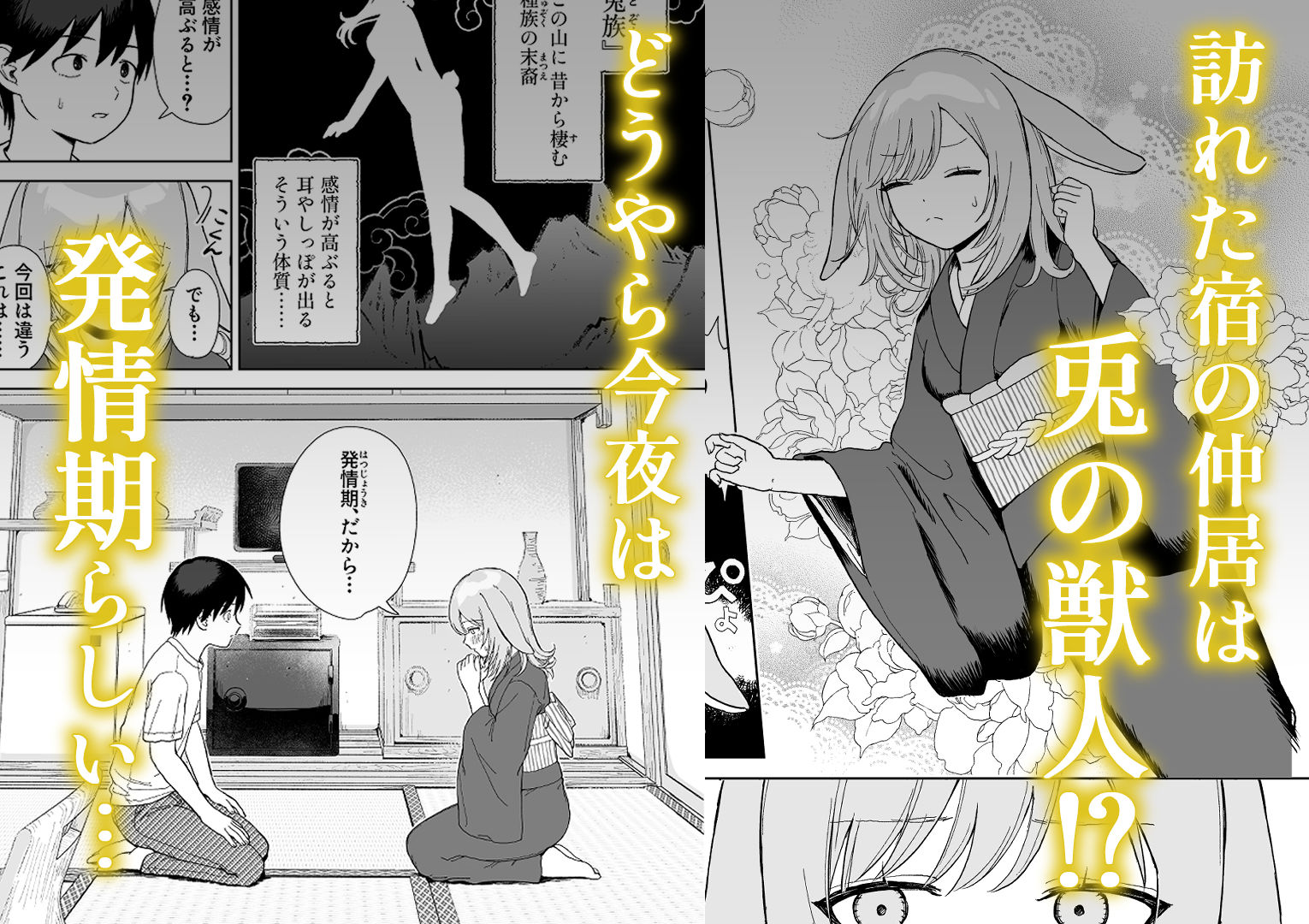 発情うさぎは満月の夜に交尾する (dcomic jp-001)