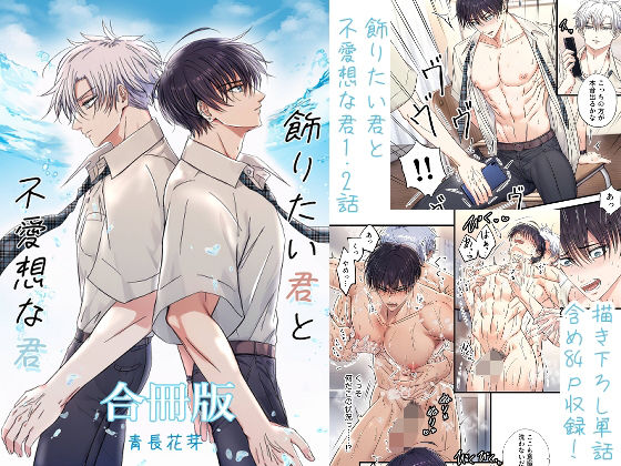 飾りたい君と不愛想な君合冊版 （新規描き下ろし短編24p収録） (dcomic)