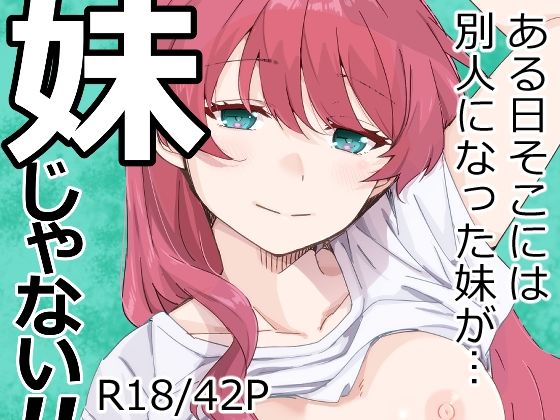 《d_670489》妹じゃない！のパッケージ画像