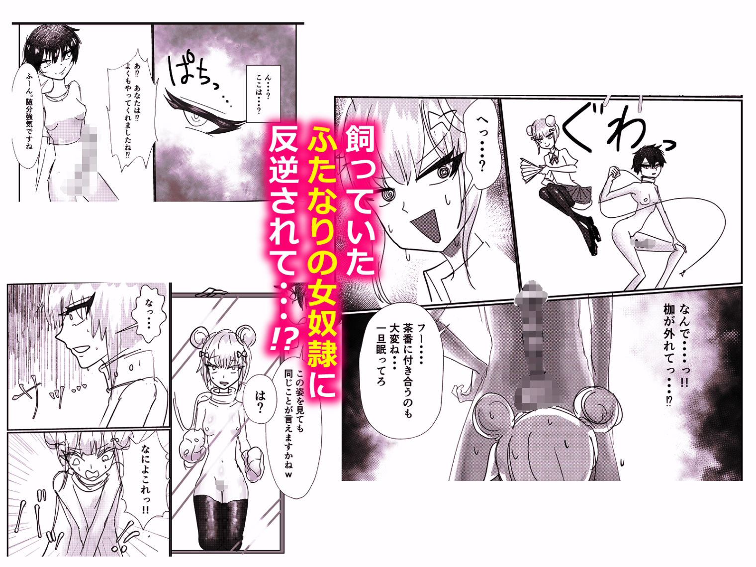 高飛車お嬢様  ふたなり奴●に反逆される (dcomic jp-002)
