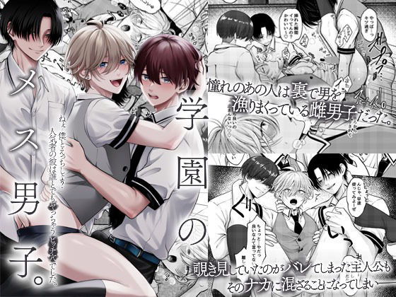 学園のメス男子。ねぇ僕とえっちしよ？人気者の彼は誰とでもヤっちゃうビッチ穴でした。 (dcomic pr)