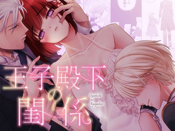 王子殿下の閨係【1】 (dcomic pr)