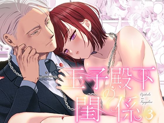 王子殿下の閨係【3】 (dcomic pr)