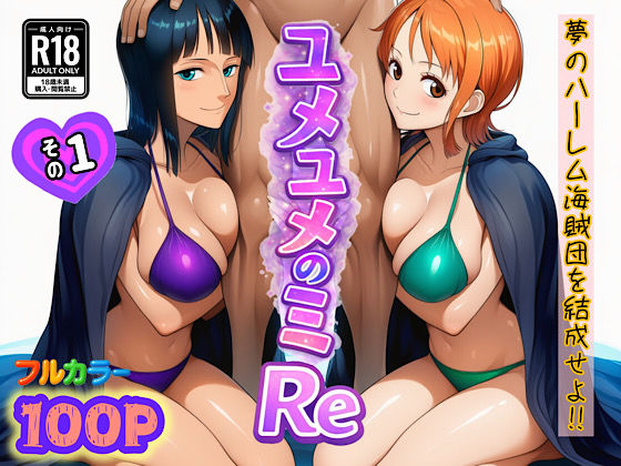 《d_714381》ユメユメのミRe  〜夢のハーレム海賊団を結成せよ〜  その1のパッケージ画像