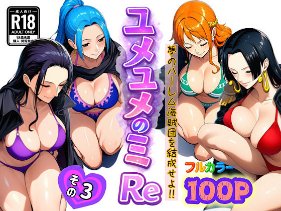 《d_714386》ユメユメのミRe  〜夢のハーレム海賊団を結成せよ〜  その3のパッケージ画像