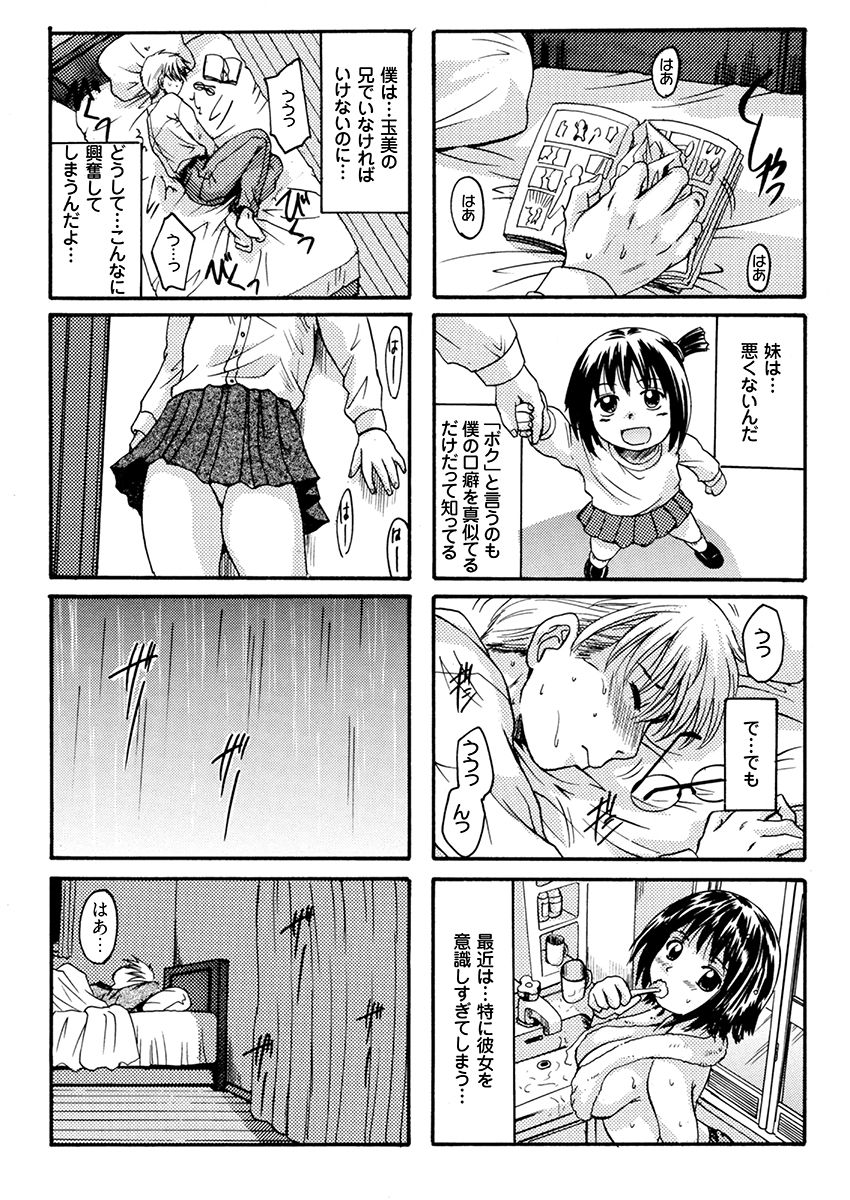 いもうとは甘えんぼ (dcomic jp-007)