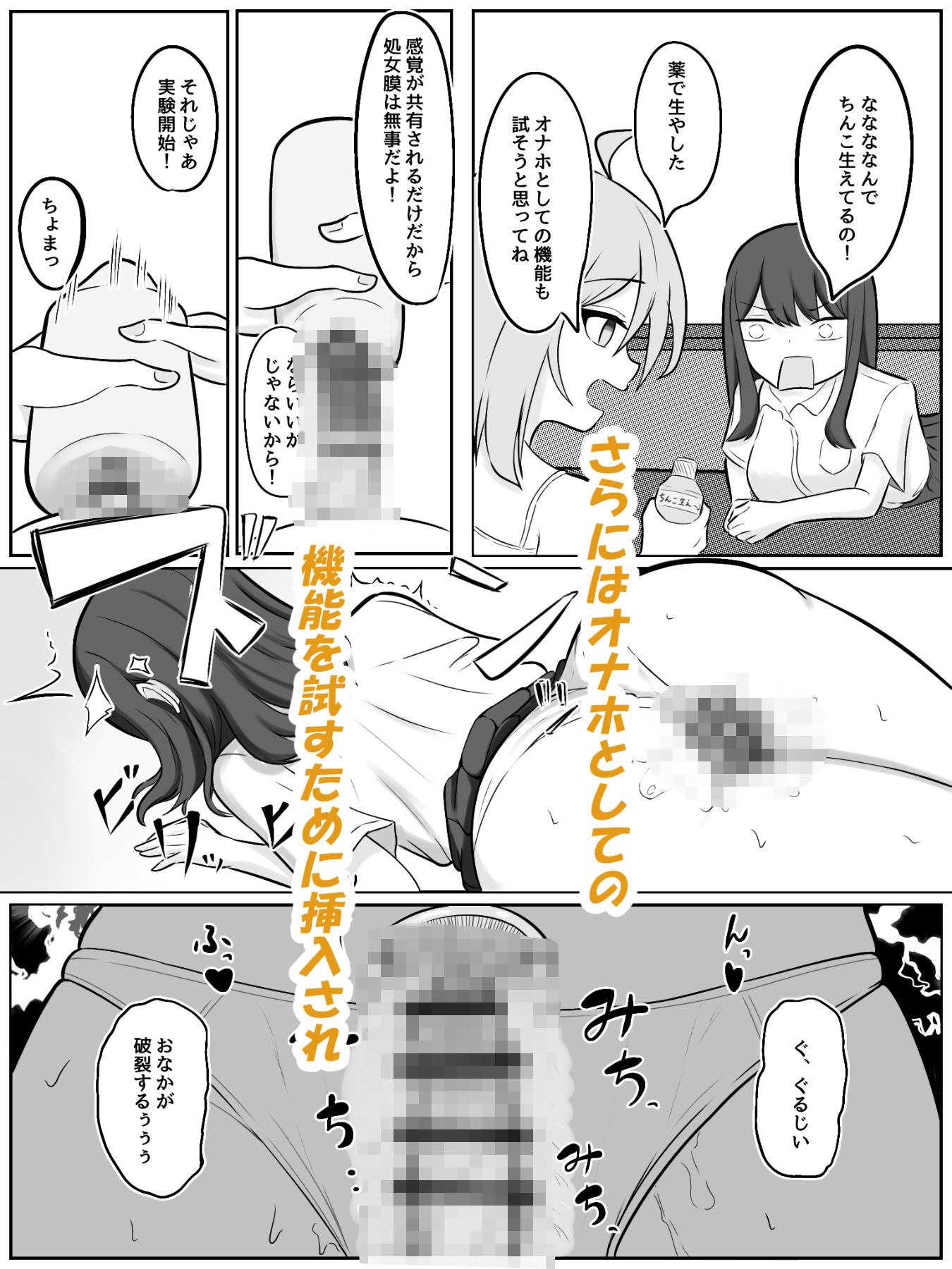 ふたなり化したバカ2人に犯●れるのサンプル画像 6