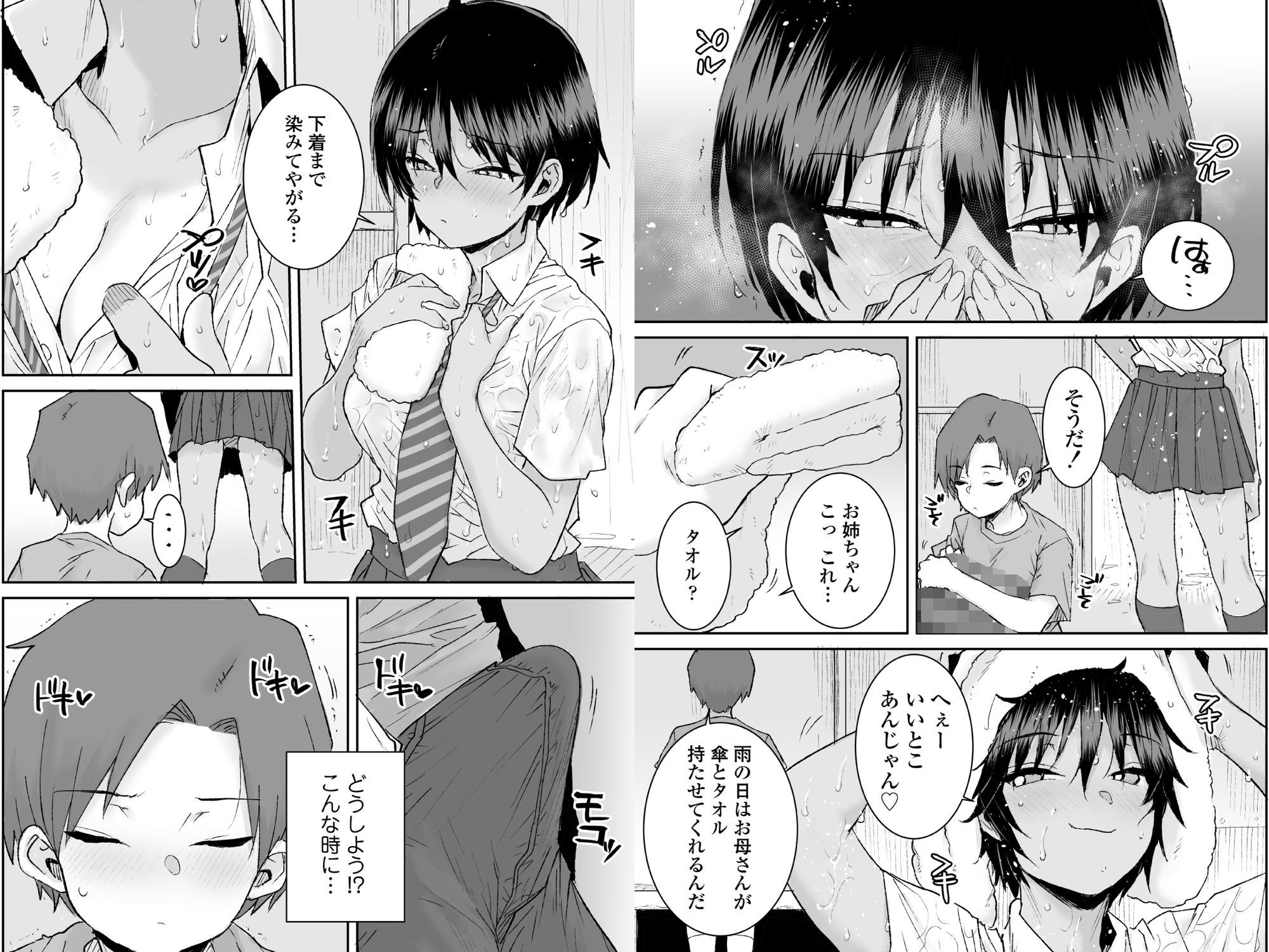 無口で気の強いボーイッシュなお姉ちゃんで僕は童貞を卒業しましたのサンプル画像 6