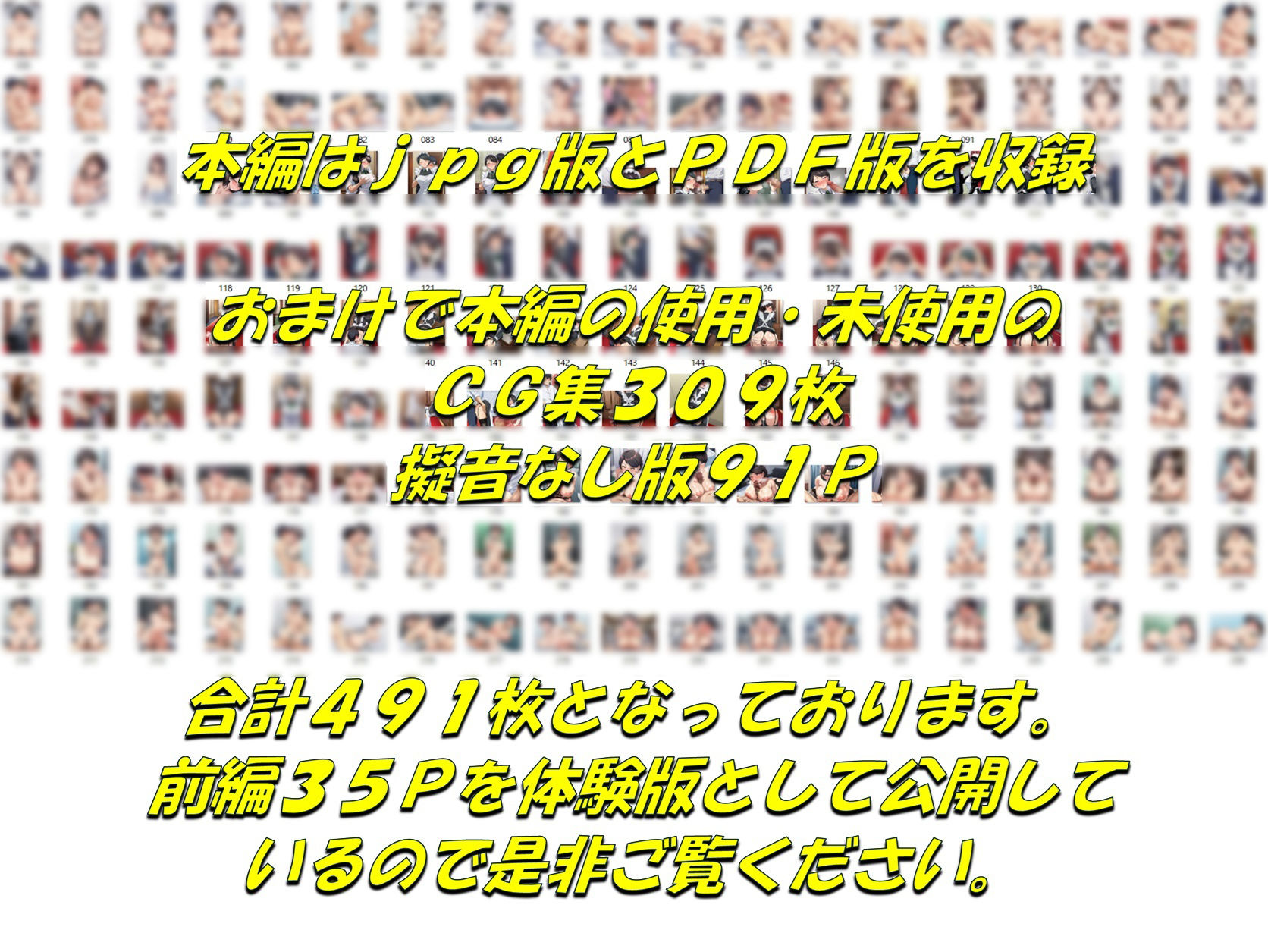 メイドで童貞卒業するよう言われたので昔から好きだった行き遅れ処女メイド長を寵愛して孕ませる話の画像10