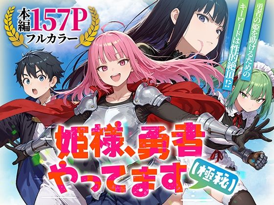 《d_753294》姫様、勇者やってます（極秘）のパッケージ画像