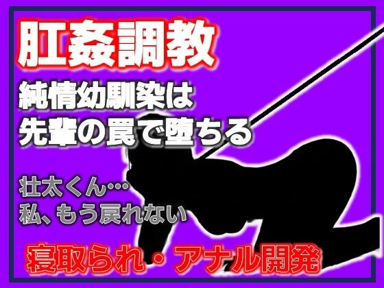 美空 ～堕ちた清楚系JDの肛姦調教日誌～ [Aine Grace]