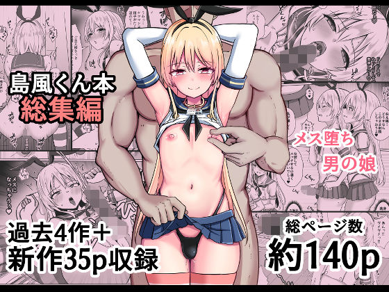 《d_758374》島風くん育成計画書  総集編のパッケージ画像