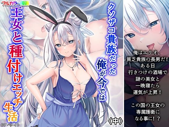 クソザコ貴族だった俺が今では王女と種付けエッチ生活 中の商品画像