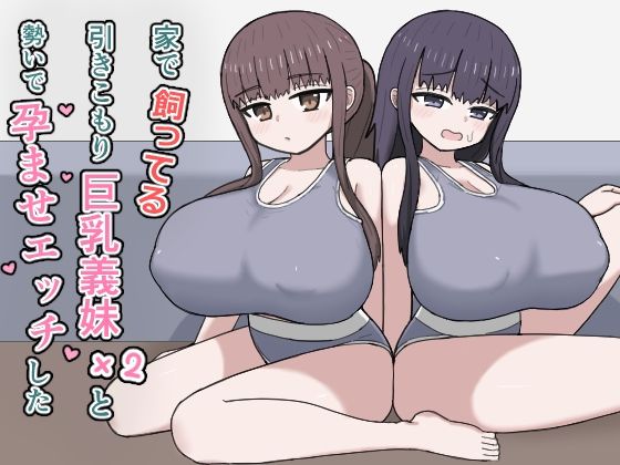 《d_764771》家で飼ってる引きこもり巨乳義妹×2と勢いで孕ませエッチしたのパッケージ画像
