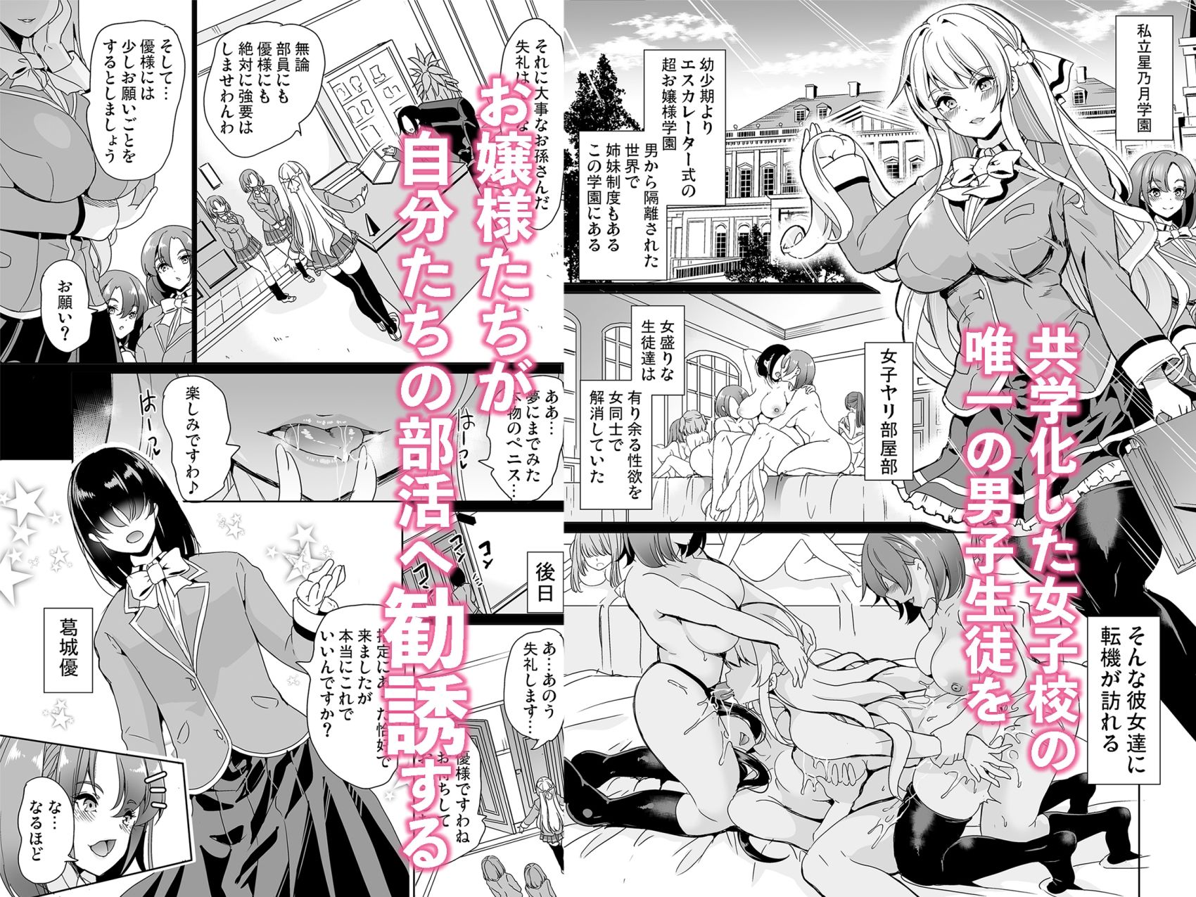 女子ヤリ部屋部の男根    〜痴女ハーレム〜  総集編のサンプル画像 1