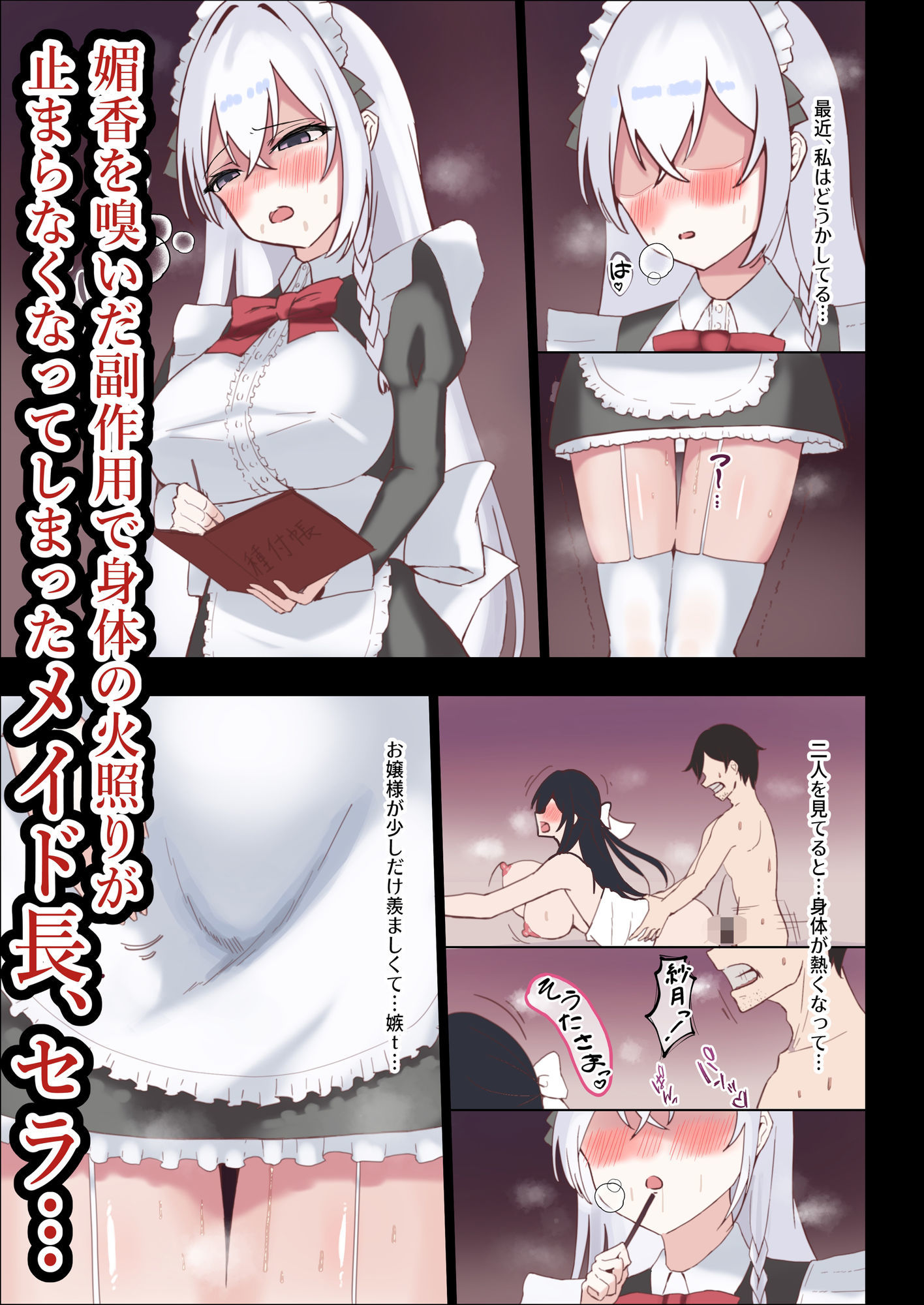 お嬢様の種付役にされた俺は、名家の令嬢を孕ませるほど種付け中出しをしてしまった…3  〜気高きメイド長は、お嬢様の殿方に溺れたりはしません〜のサンプル画像 1