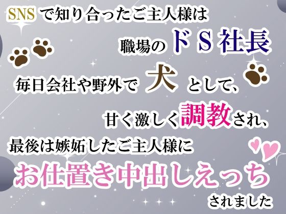 SNSで知り合ったご主人様は職場のドS社長。毎日会社や野外で犬として甘く激しく調教され、最後は嫉妬したご主人様にお仕置き中出しえっちされました (dcomic)