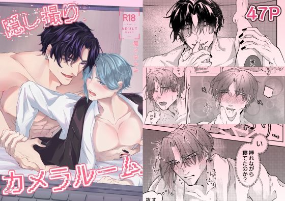 隠し撮りカメラルーム (dcomic)