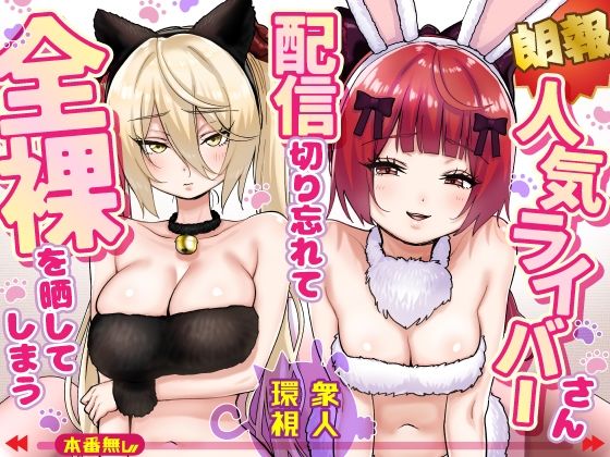 《d_775032》【朗報】人気ライバーさん 配信切り忘れて全裸を晒してしまうのパッケージ画像