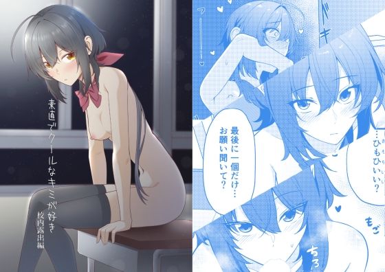 《d_780433》素直でクールなキミが好き  校内露出編のパッケージ画像