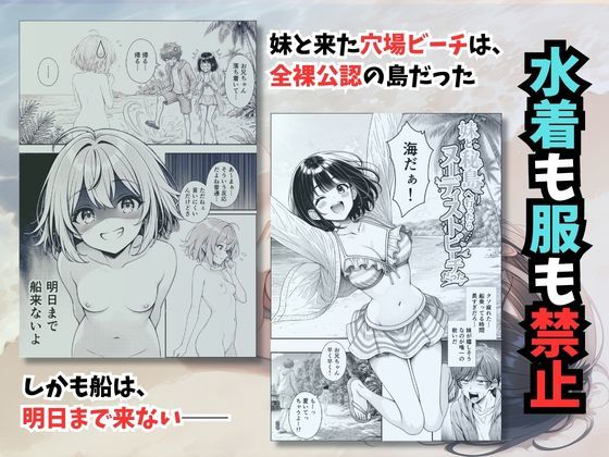 妹と秘島へ行ったらヌーディストビーチだったのサンプル画像 1