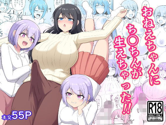 《d_781150》おねえちゃんにち〇ちんが生えちゃった！！のパッケージ画像