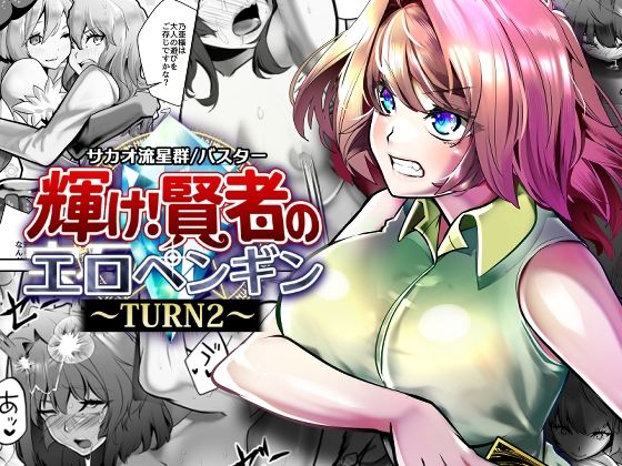 《d_789559》輝け！賢者のエロペンギン〜TURN2〜のパッケージ画像